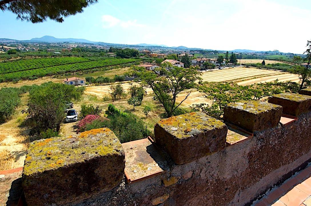 Vista