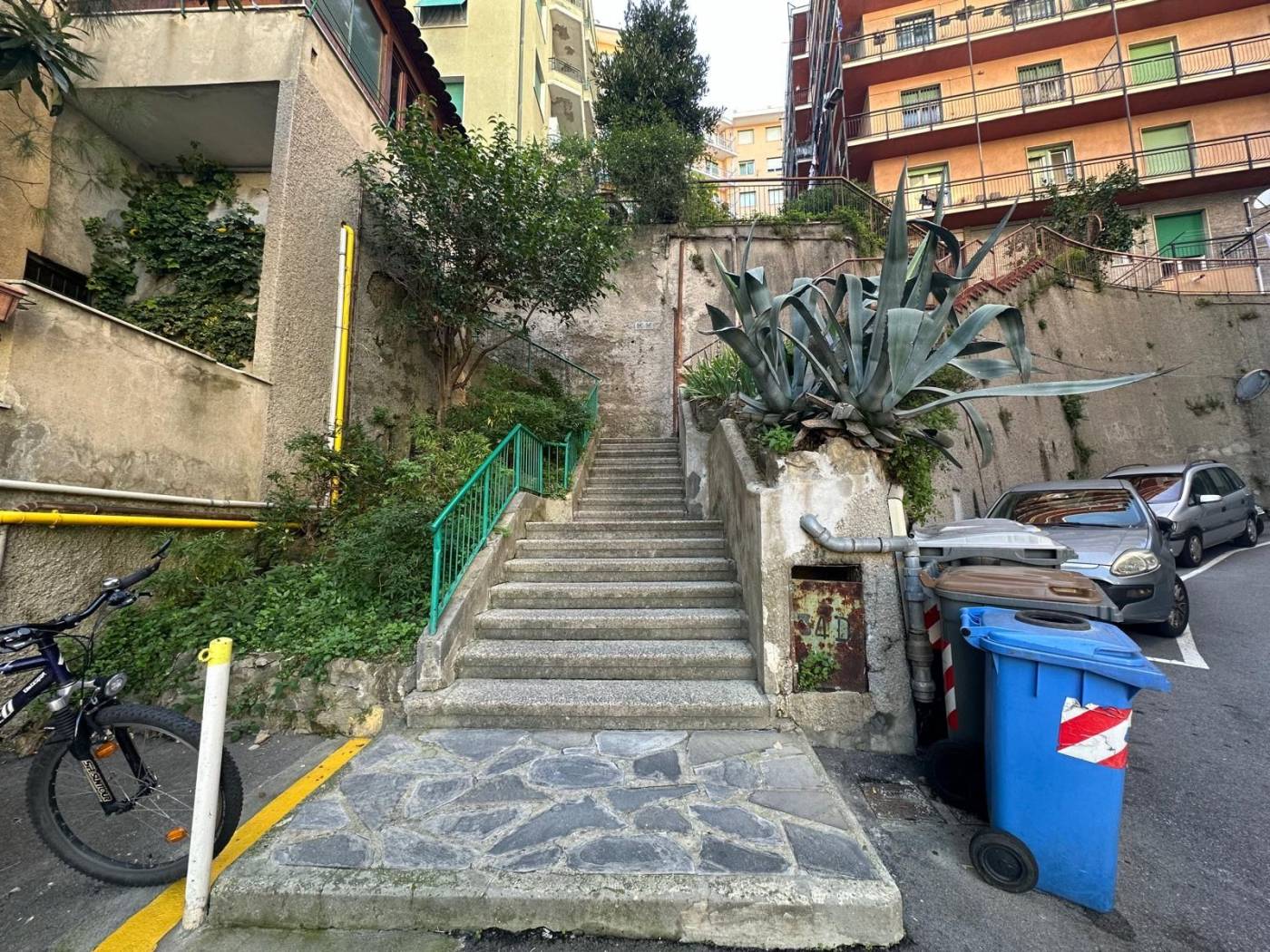 Giardino