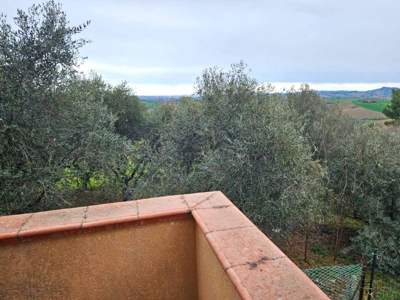 Vista