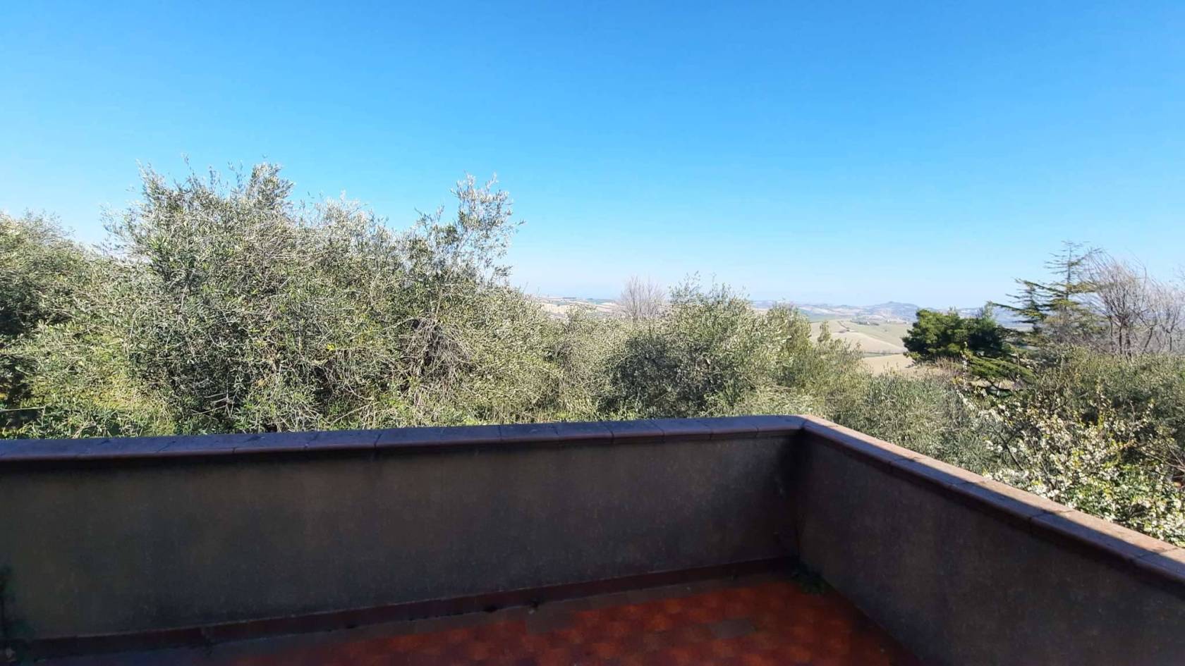 Balcone