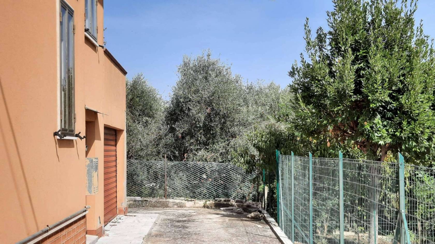 Giardino