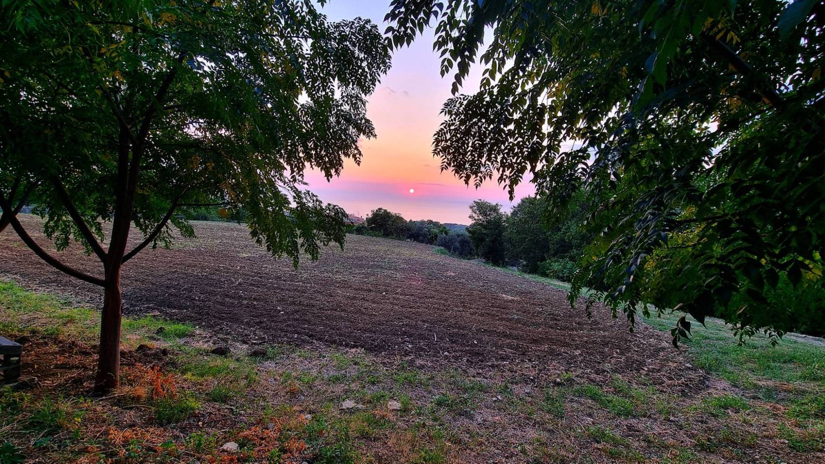 Terreno