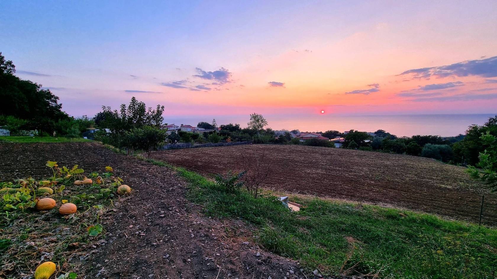 Terreno