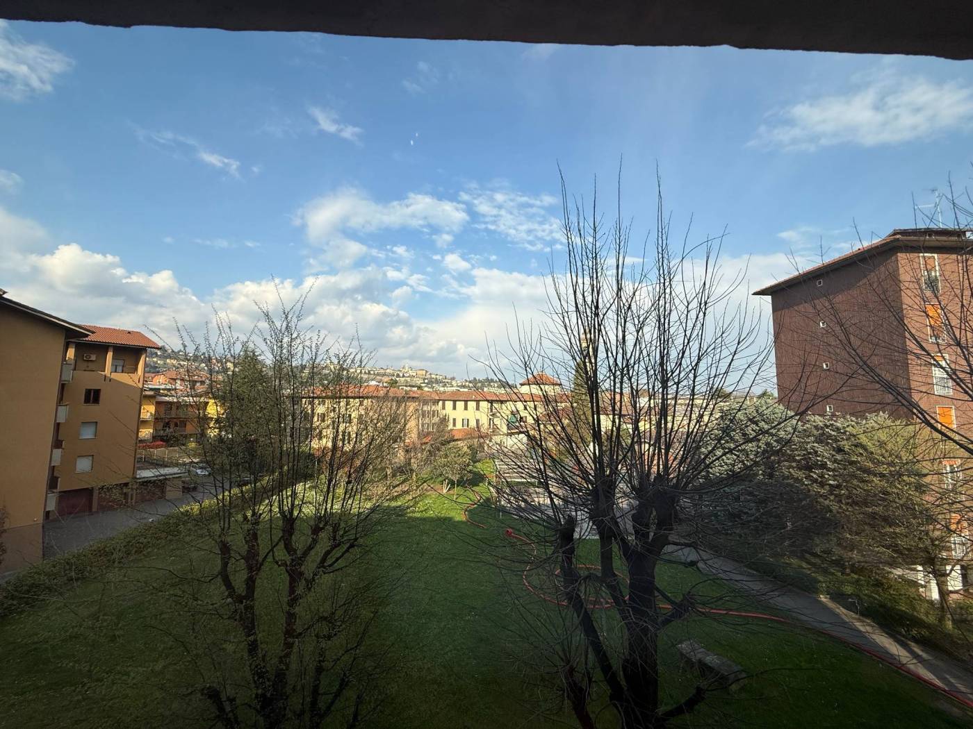 Vista
