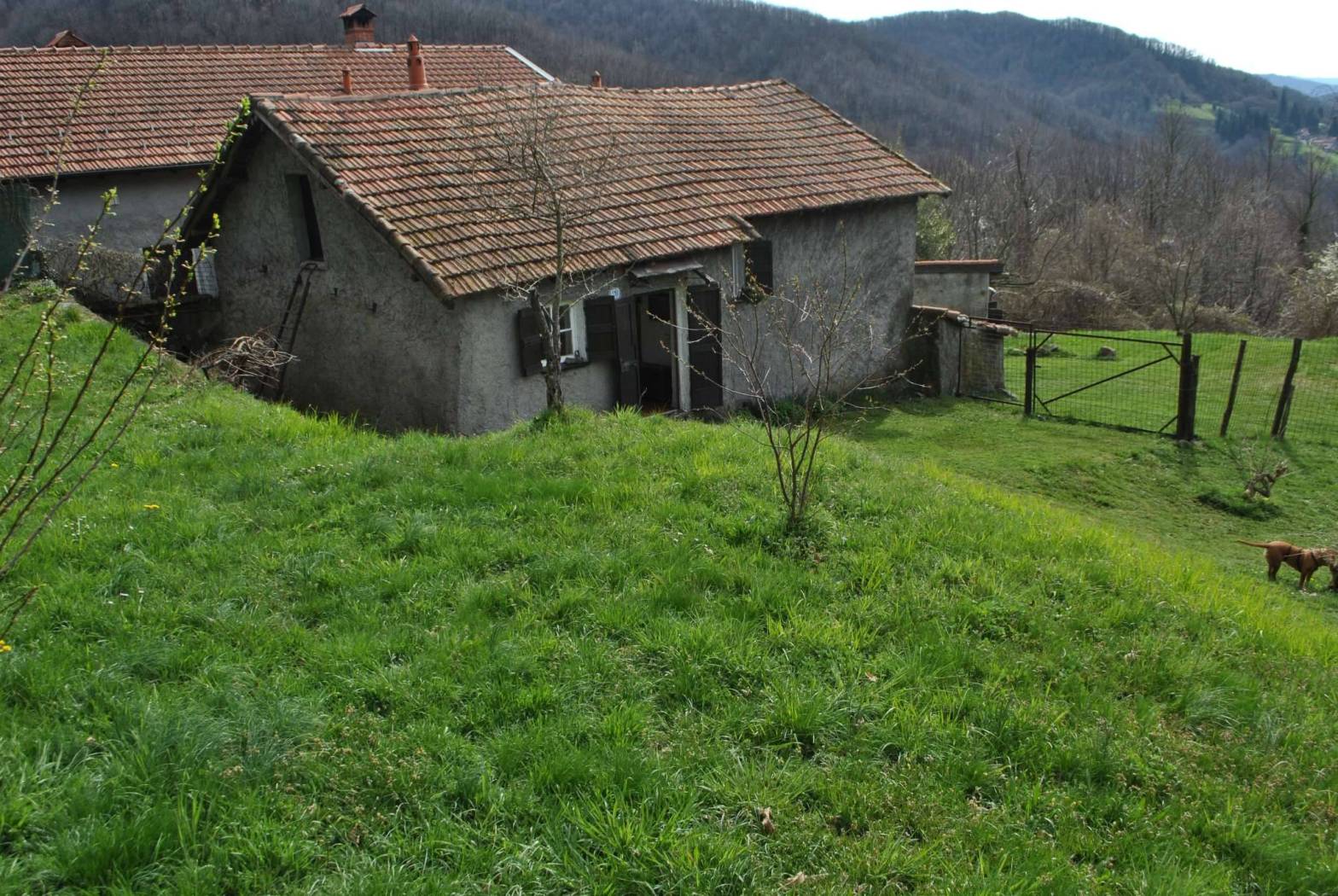 Terreno