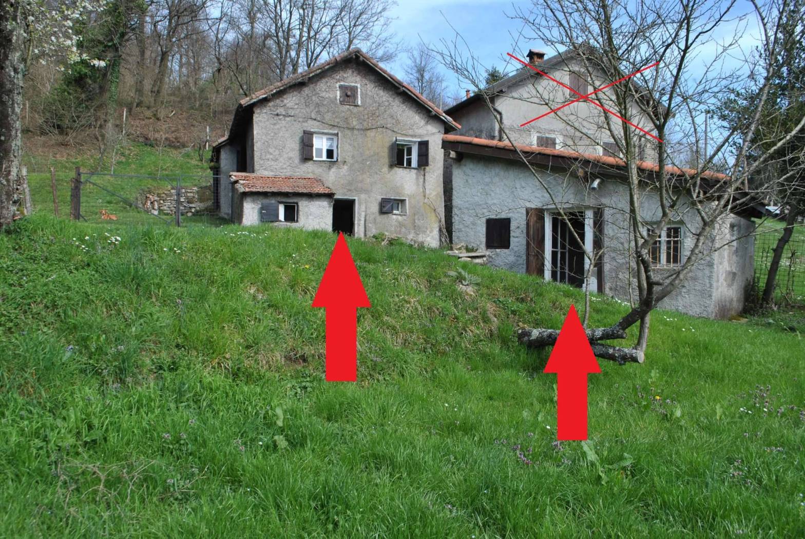 Terreno