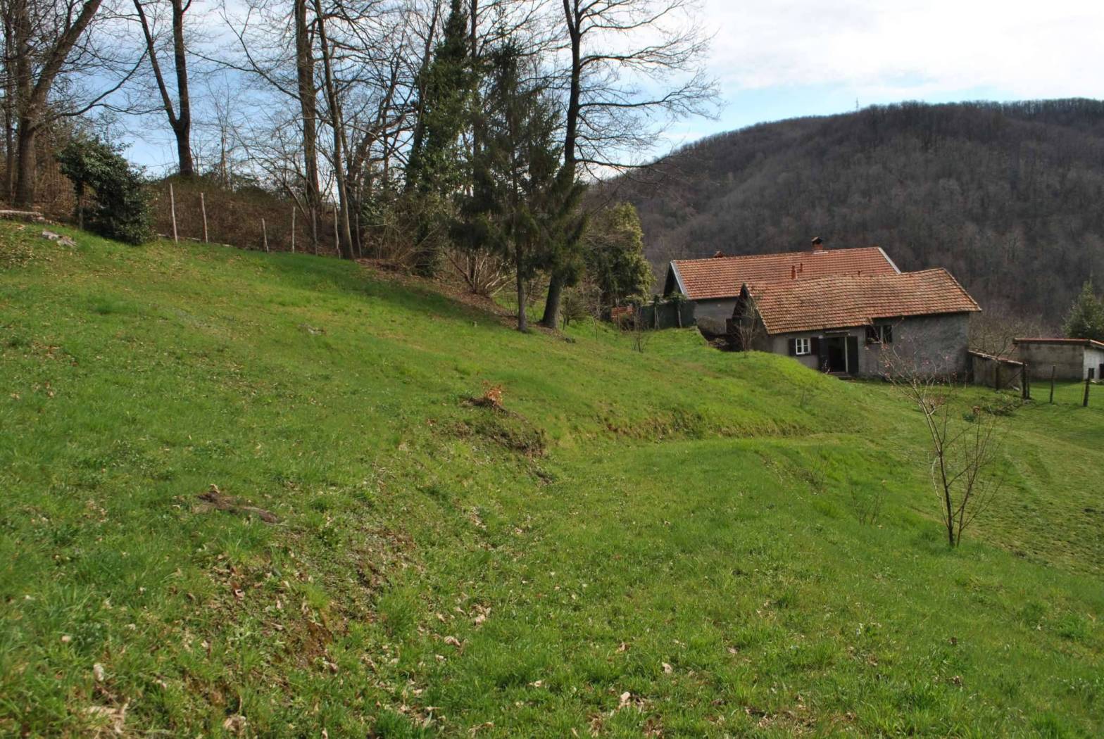 Terreno