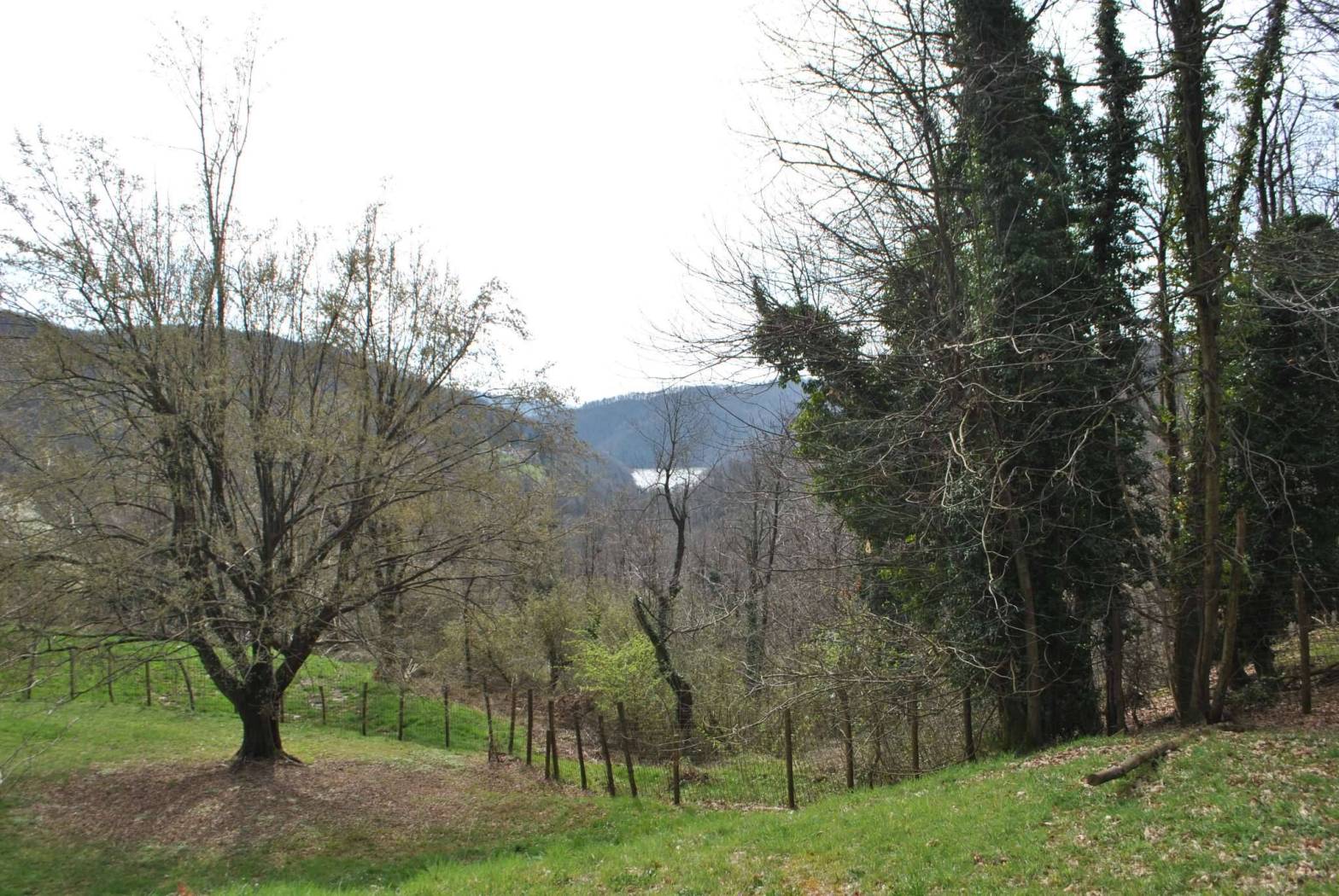 Terreno
