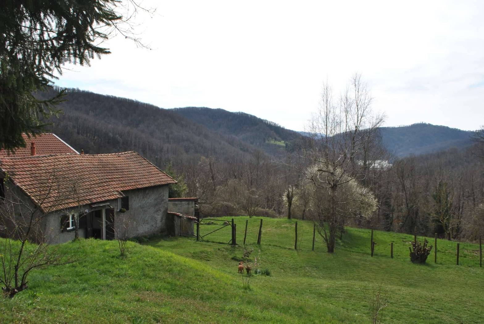 Terreno