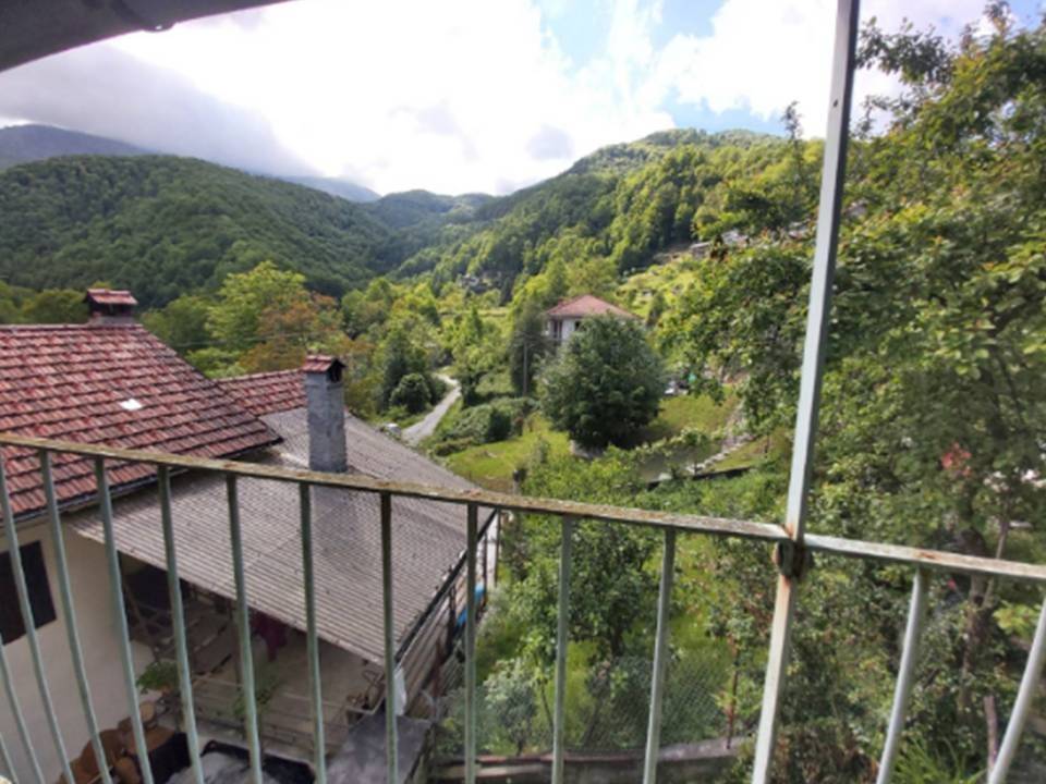 Vista