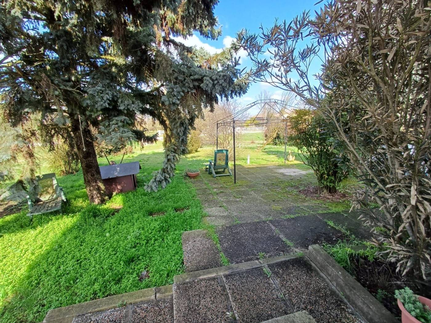 Giardino