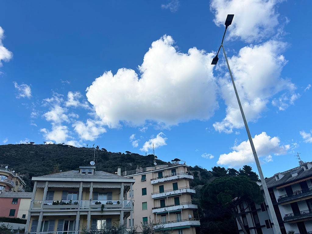 Vista