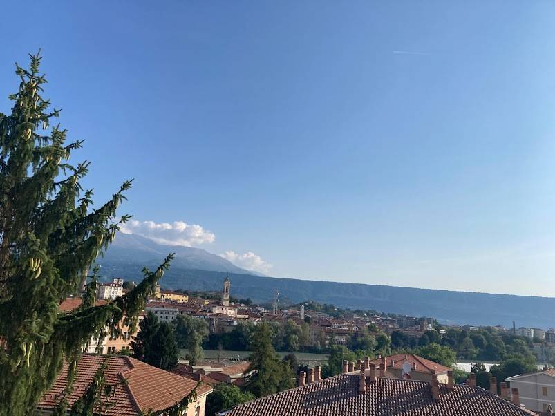 Vista