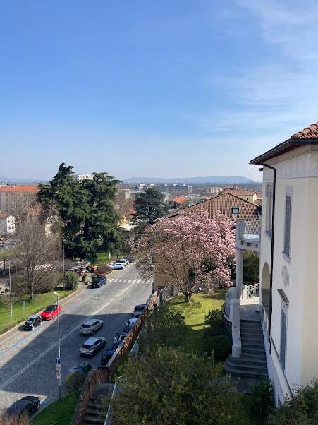 Vista