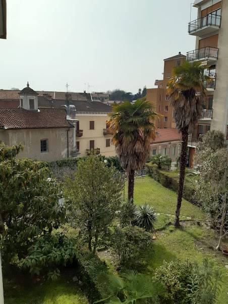 Vista