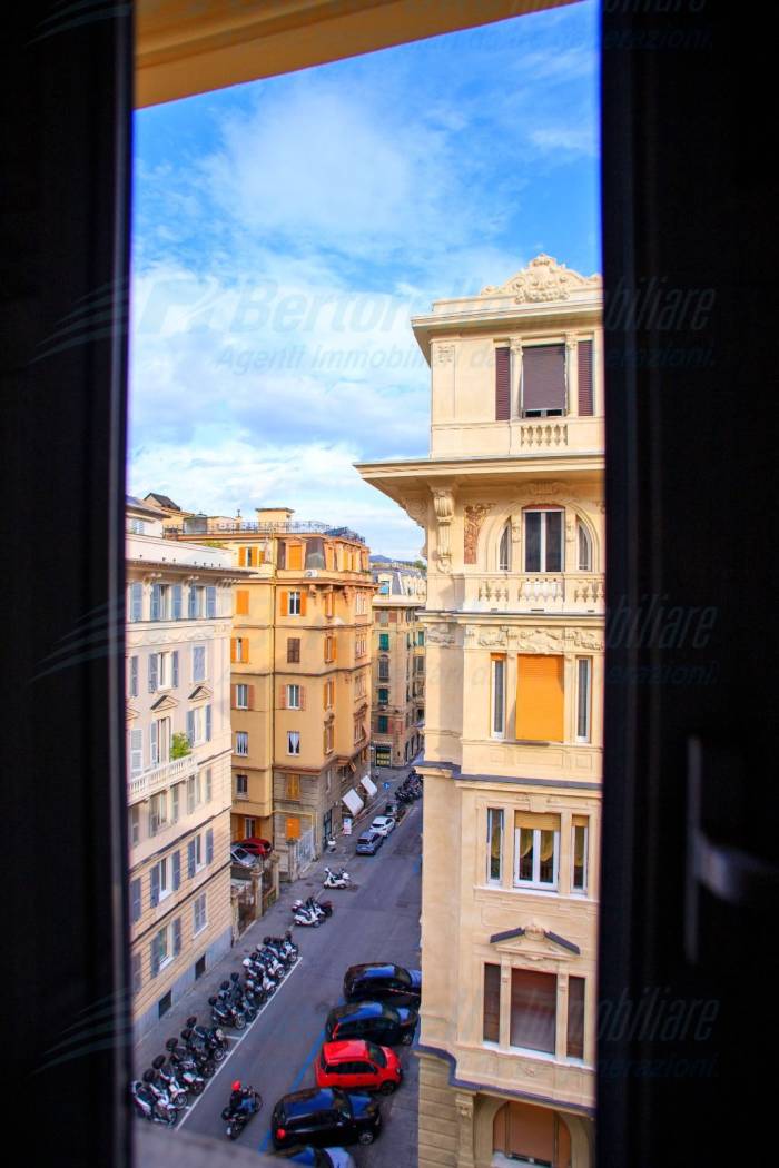 Vista