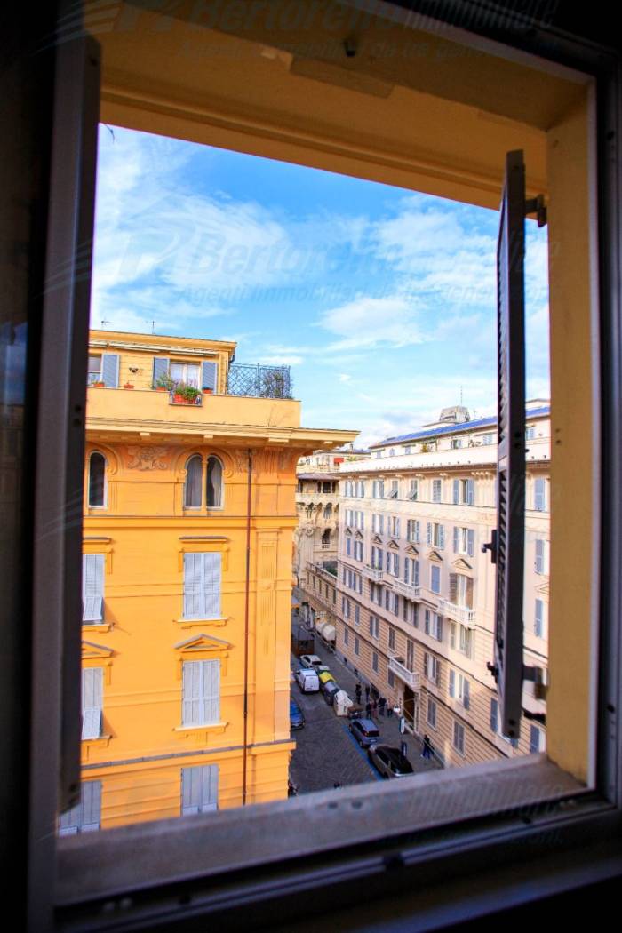 Vista