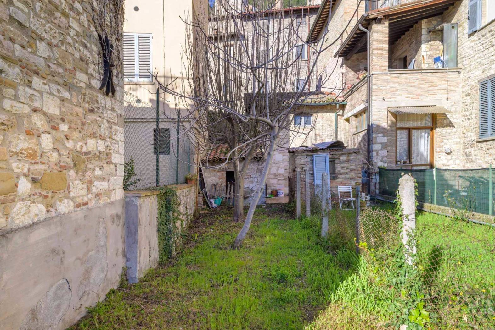 Giardino