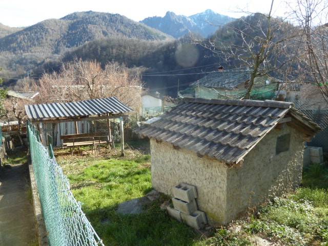 Terreno