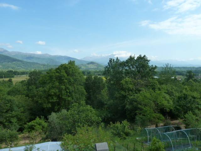 Vista