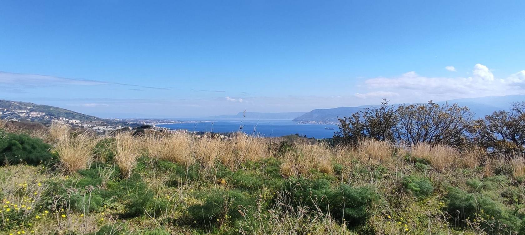 Vista