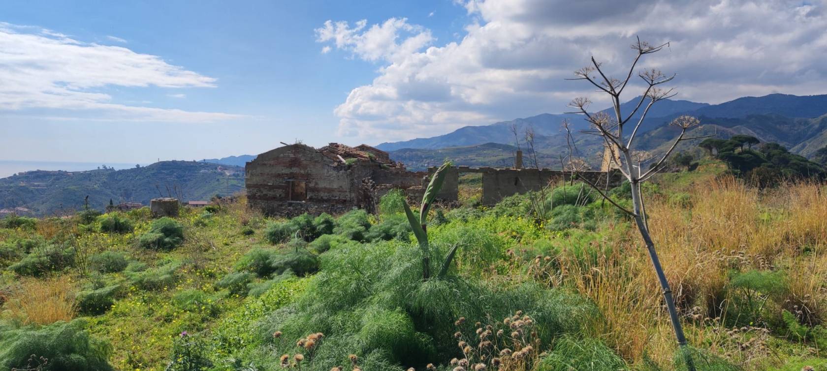 Terreno