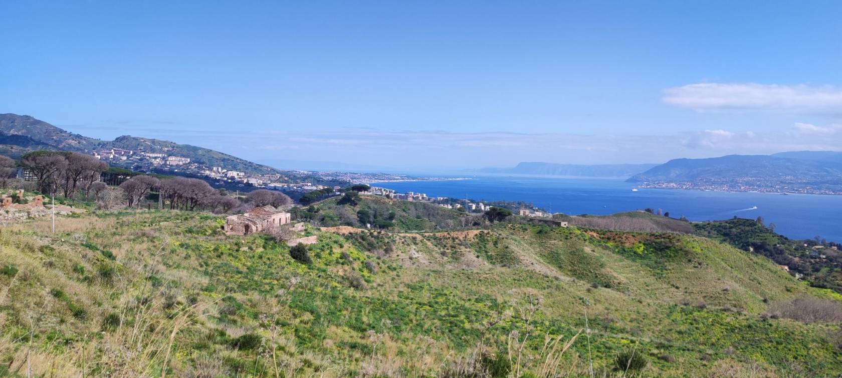 Vista