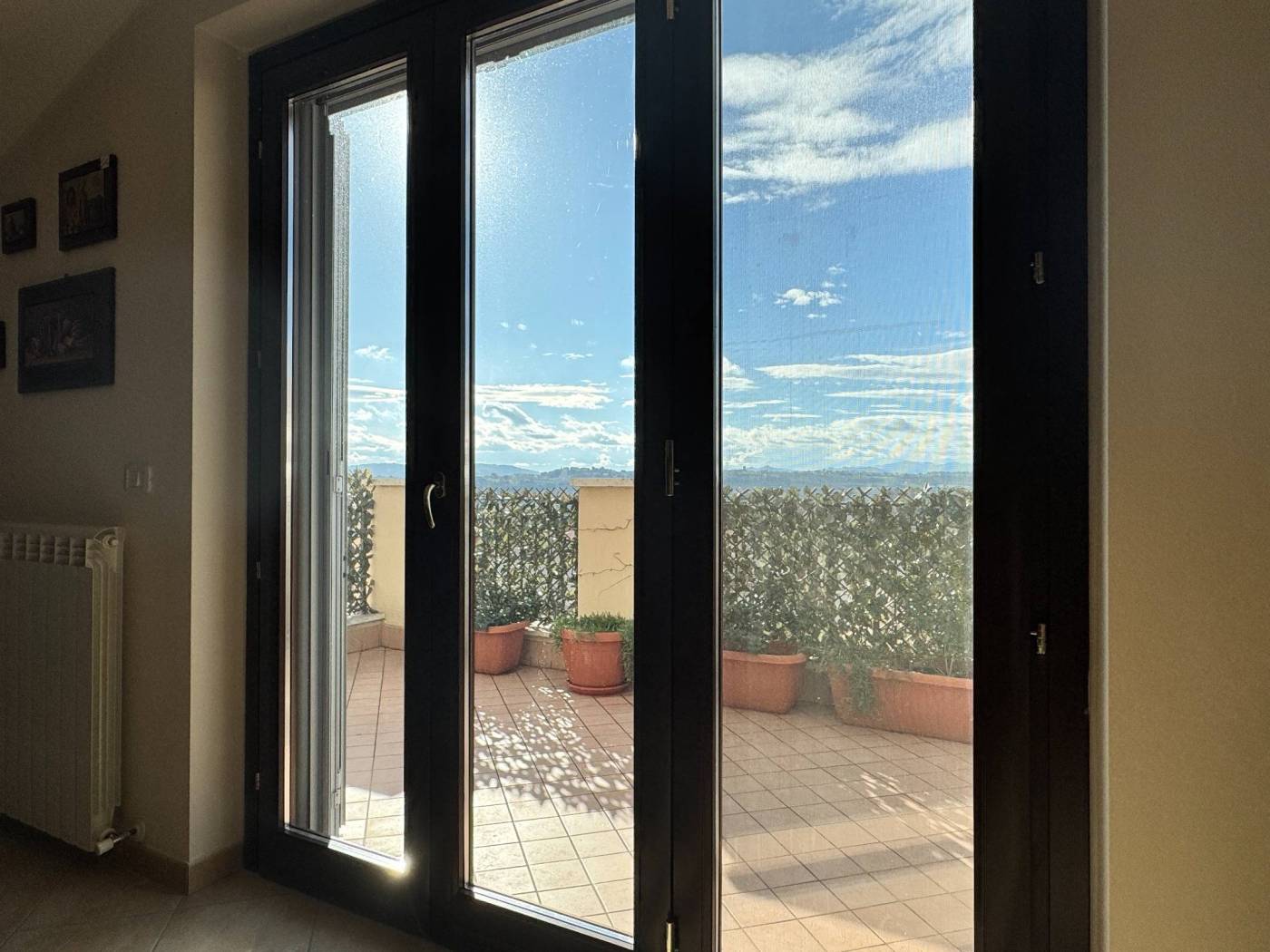 Vista