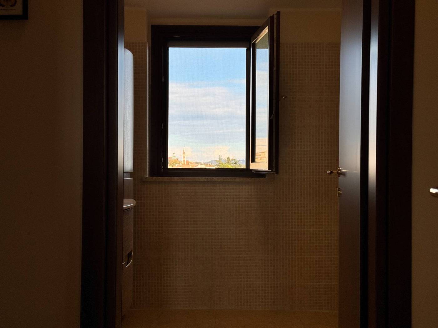 Vista