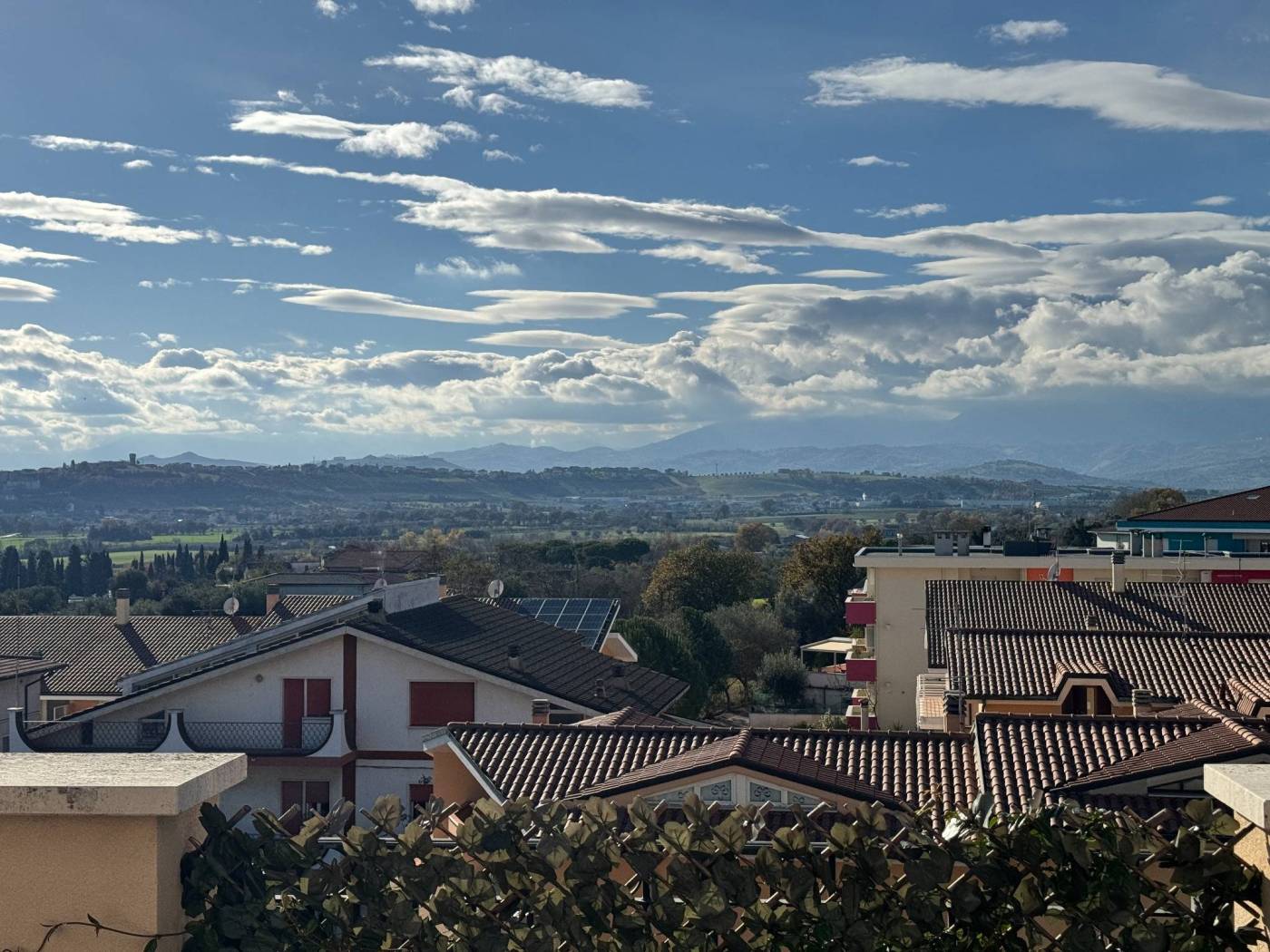 Vista