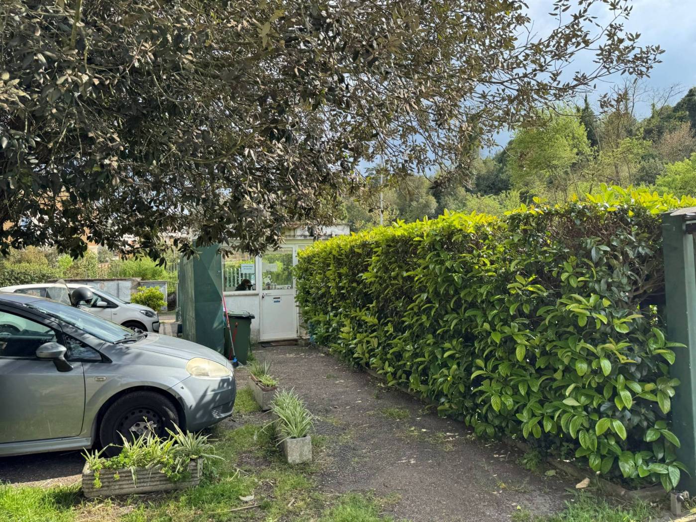 Giardino