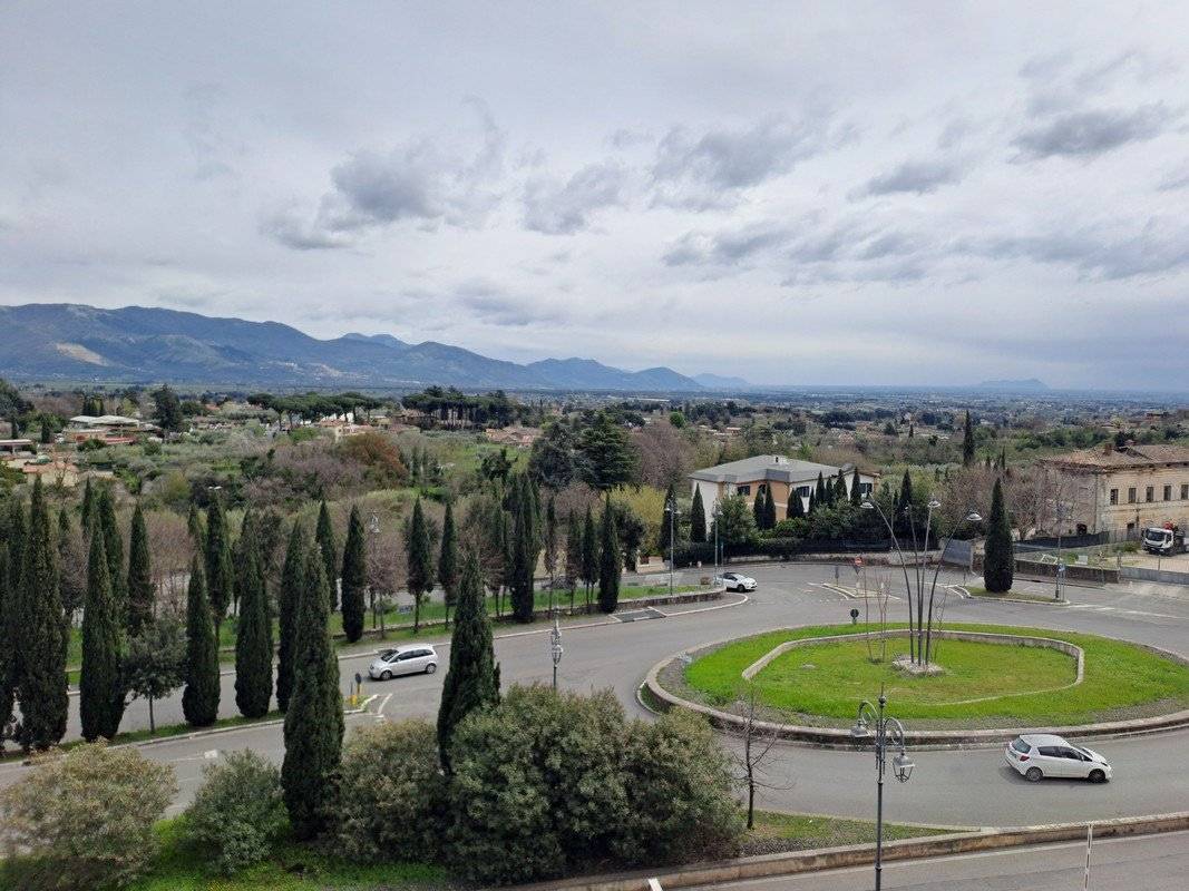 Vista
