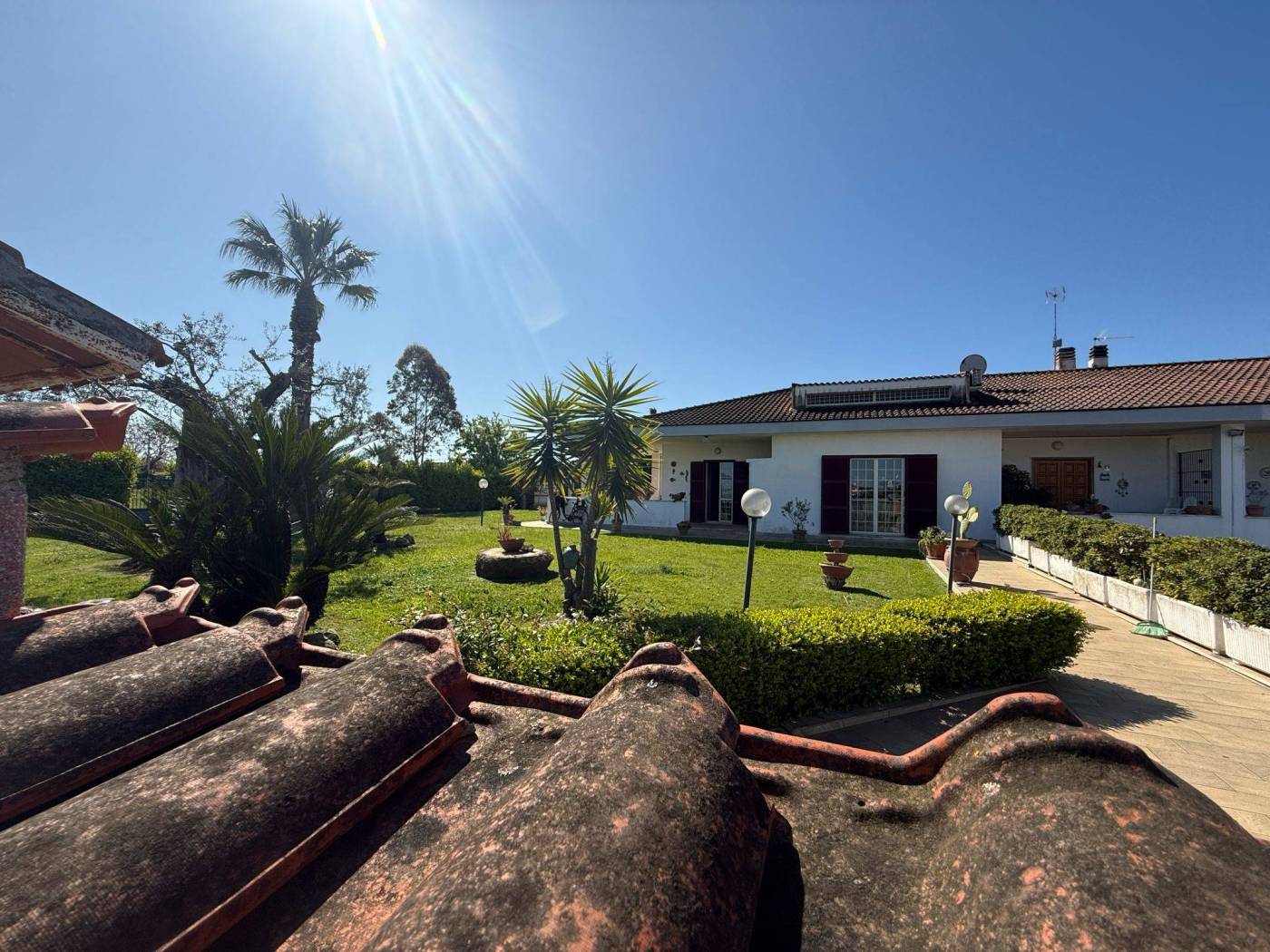 Giardino