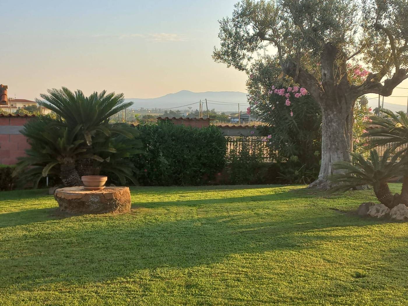 Giardino