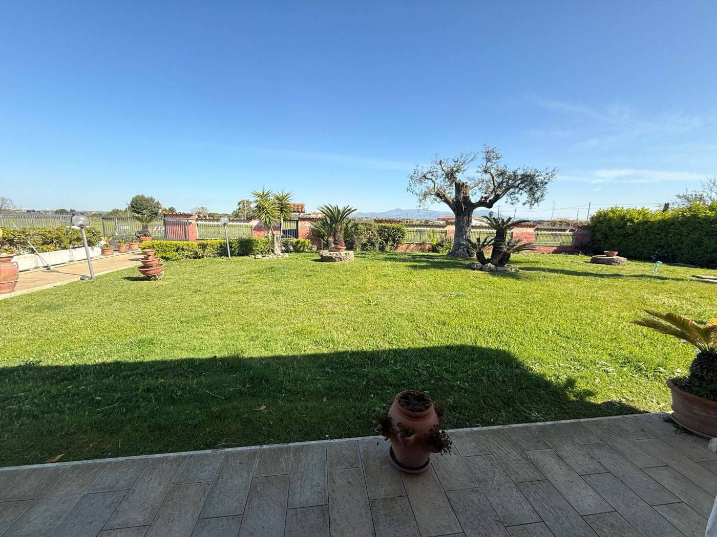Giardino