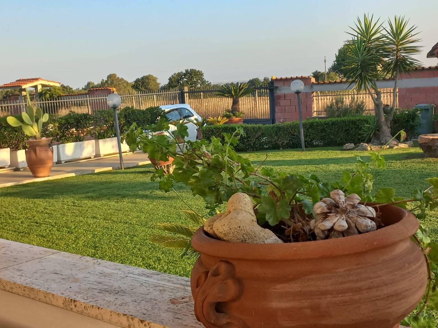 Giardino