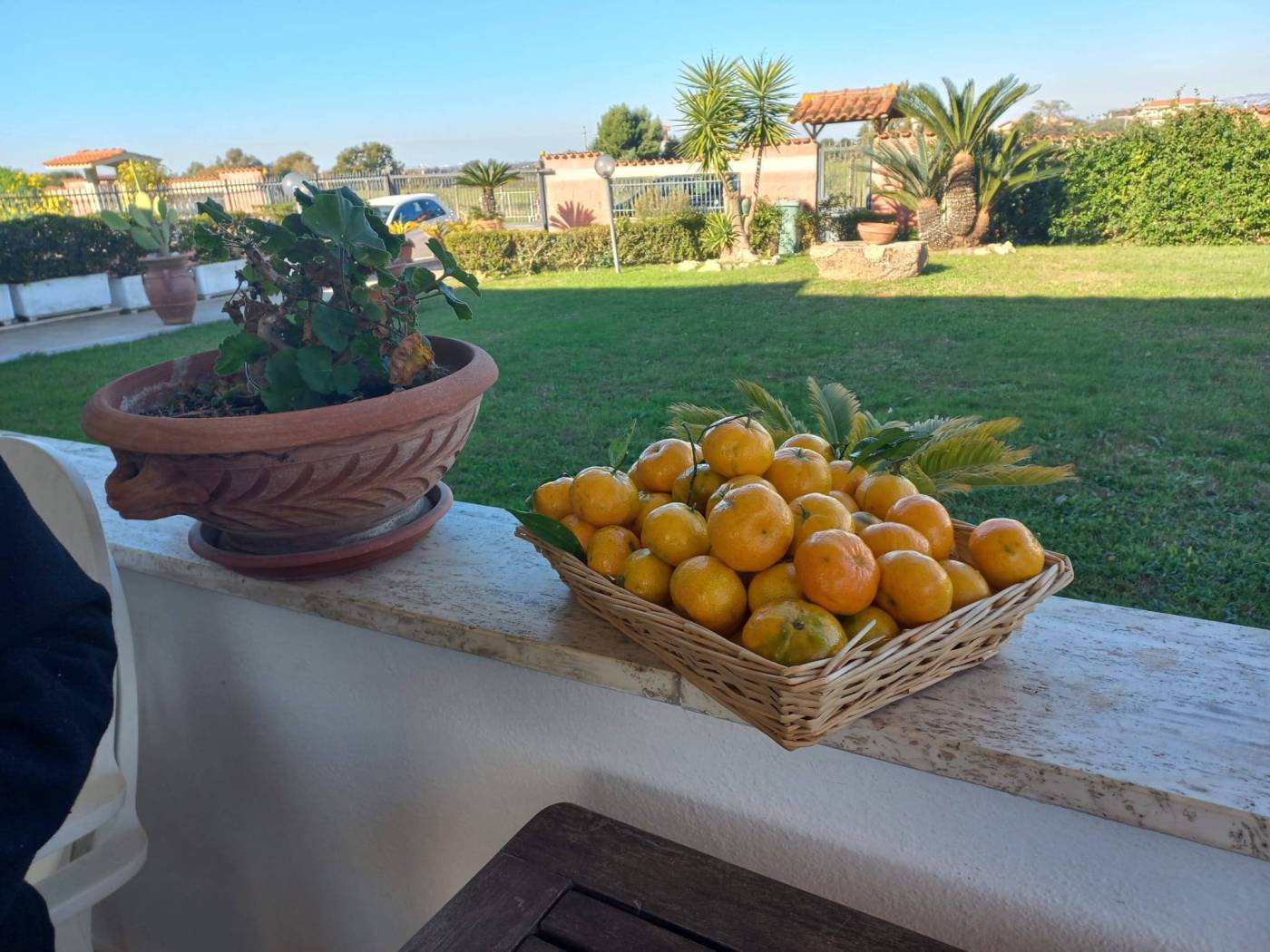 Giardino