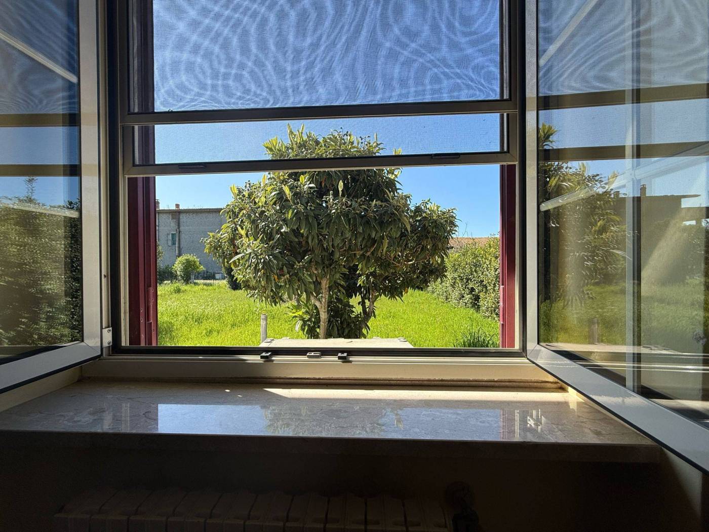 Vista