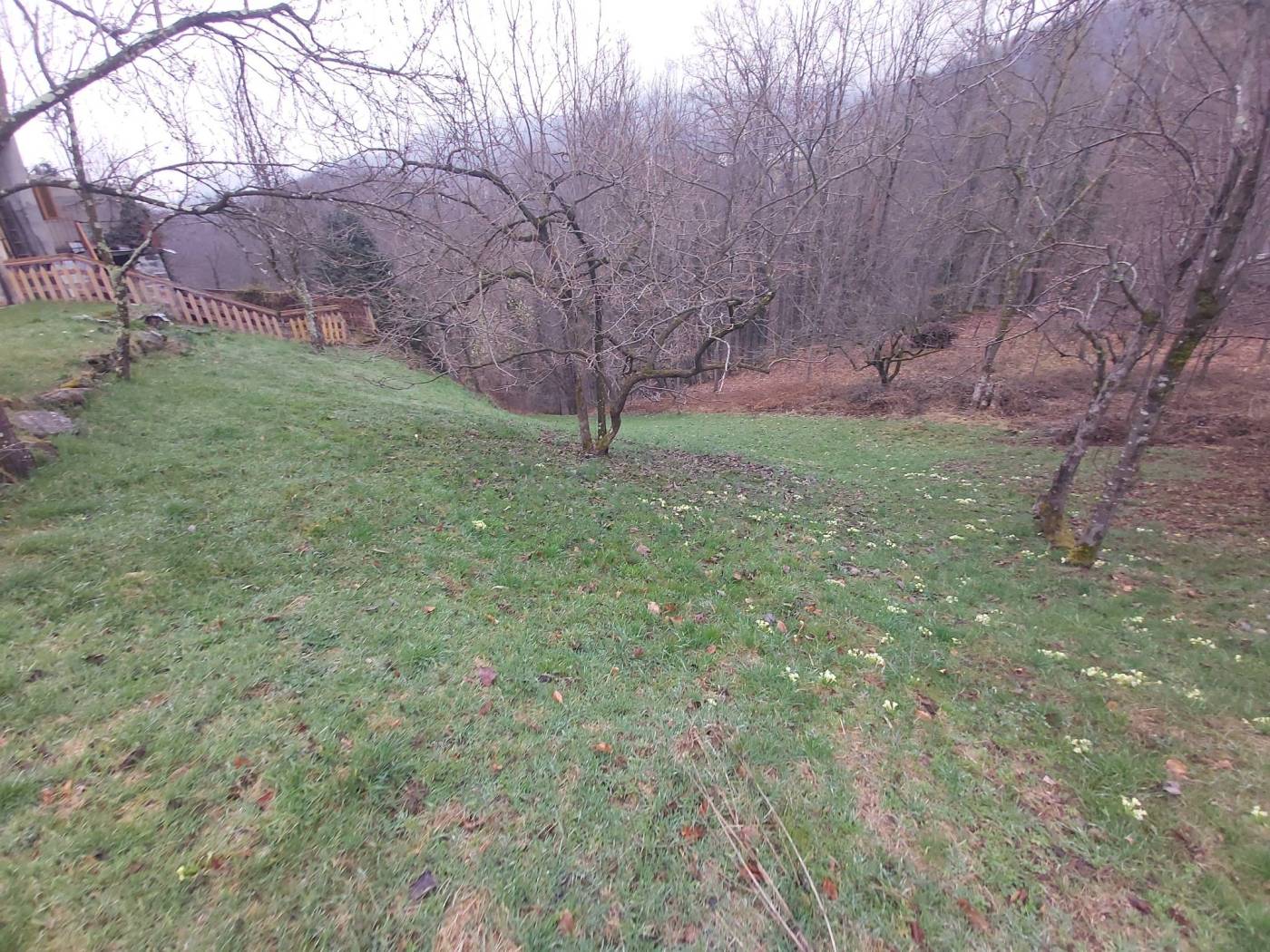 Terreno