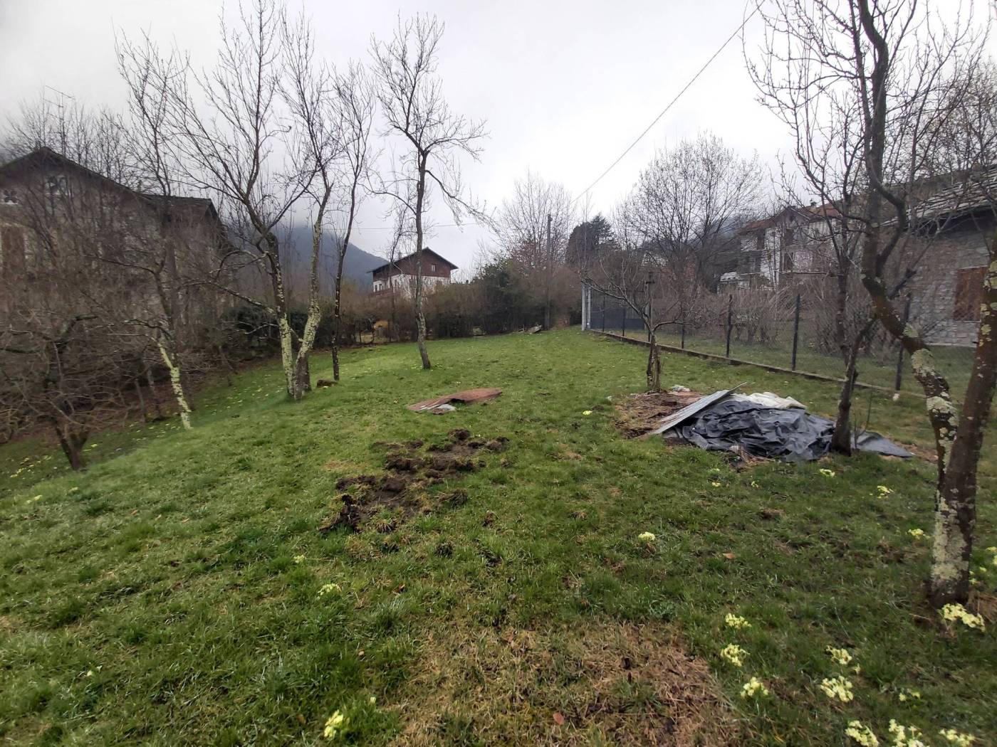 Terreno