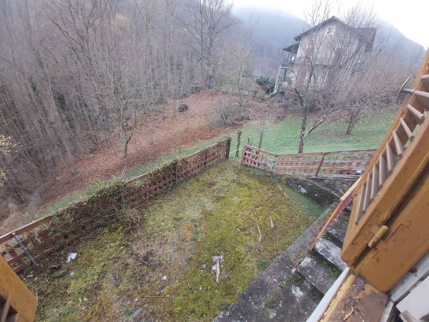 Terreno