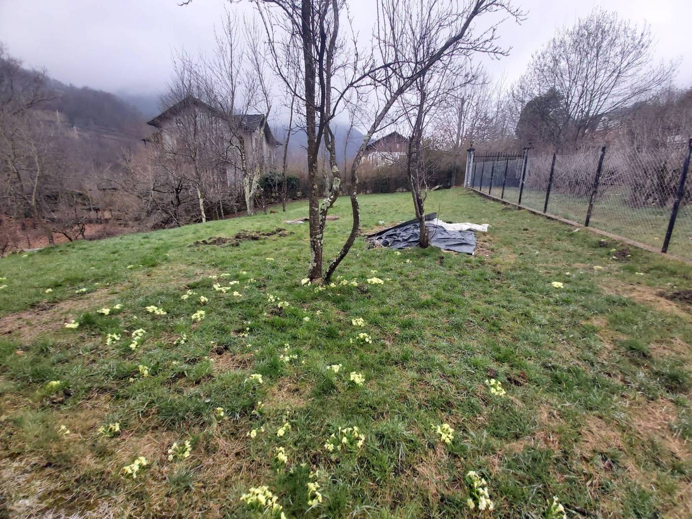 Terreno