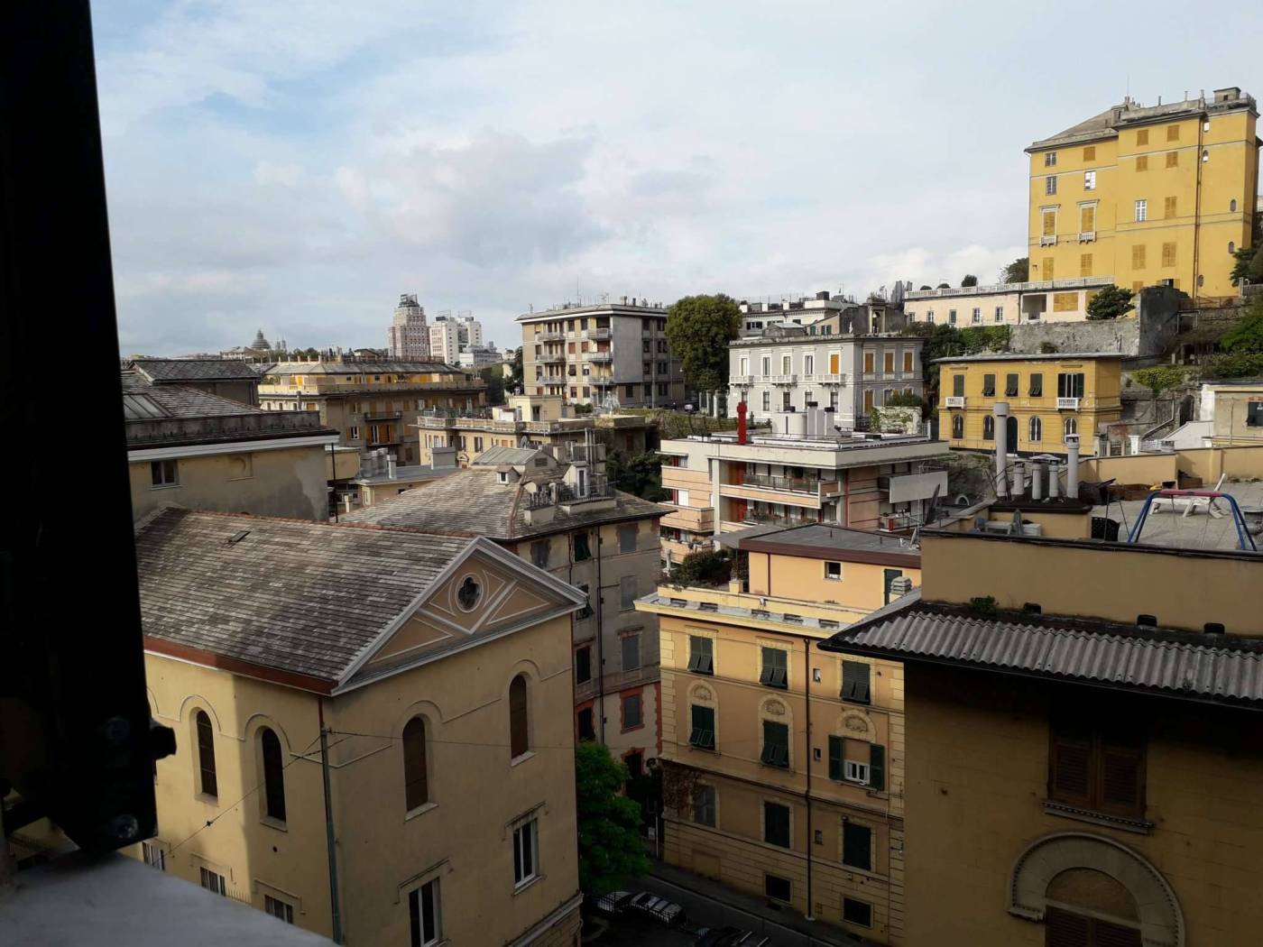 Vista