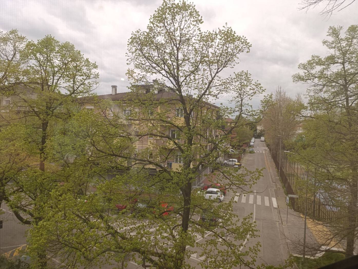 Vista