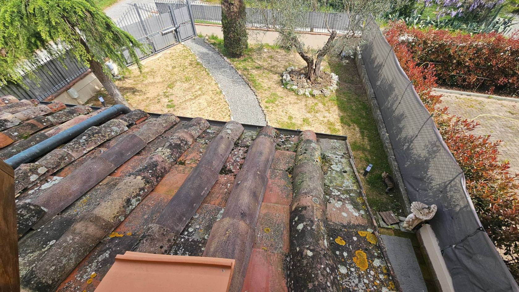 Terreno