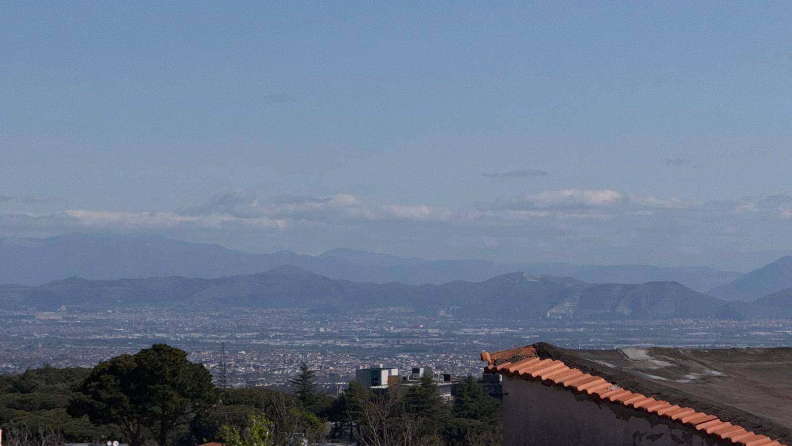Vista
