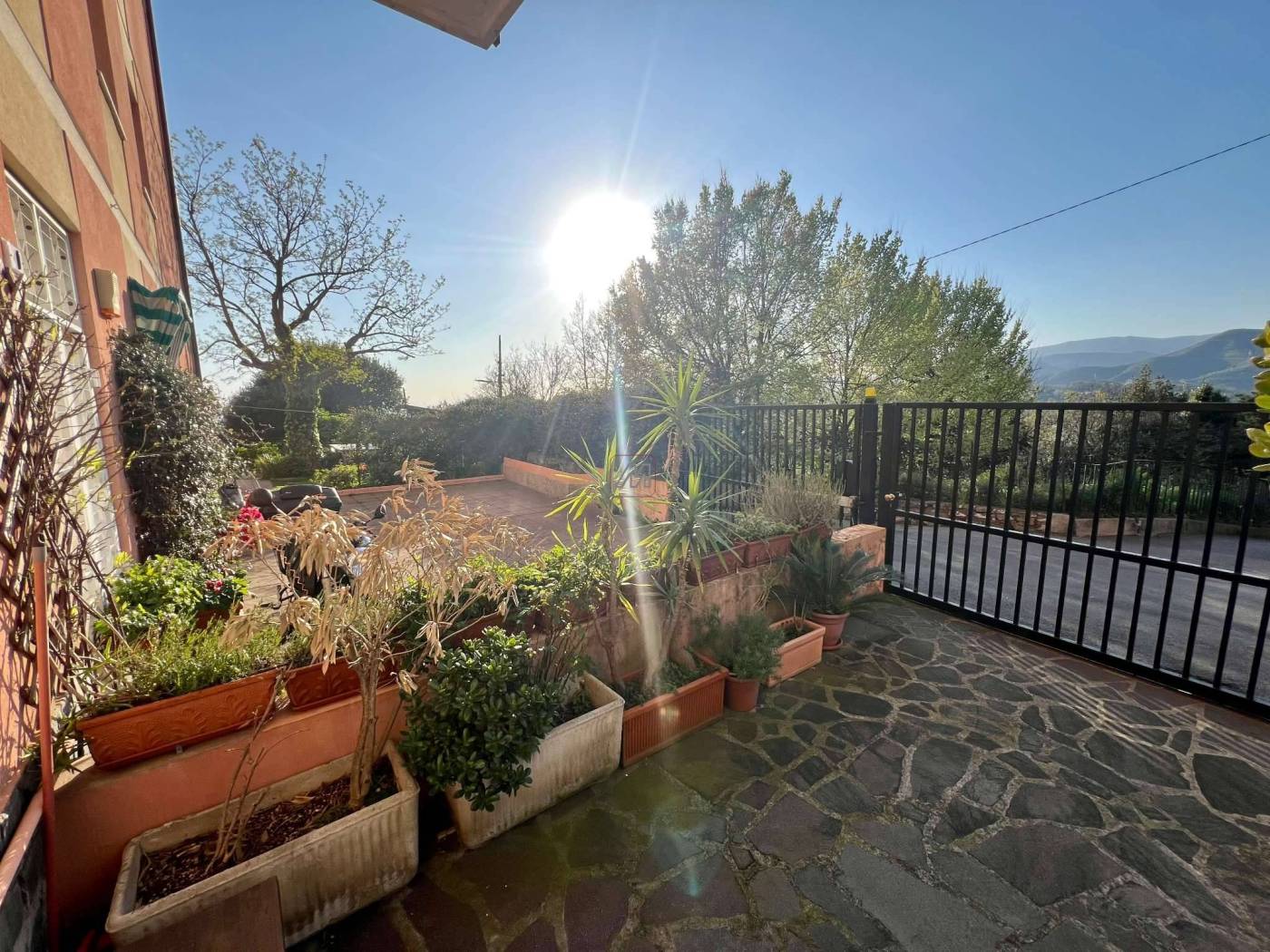 Giardino