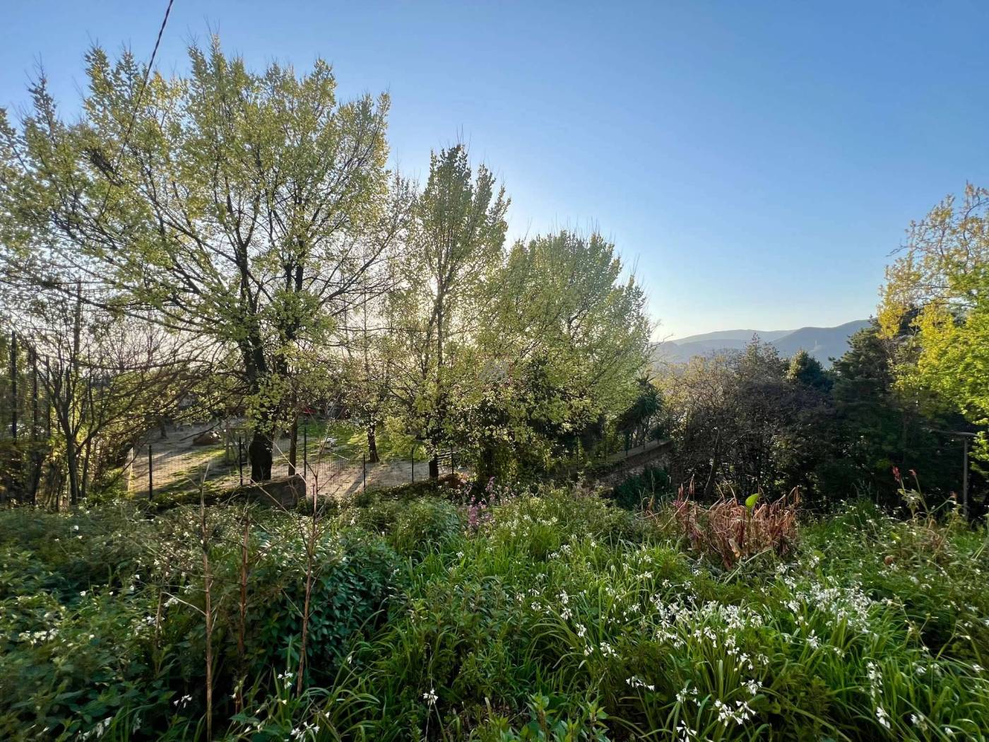Terreno