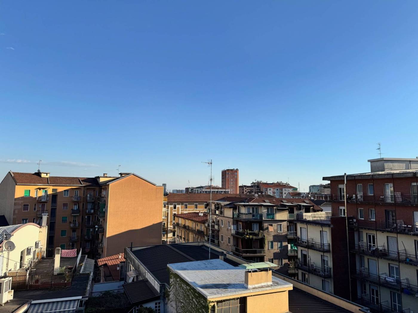 Vista