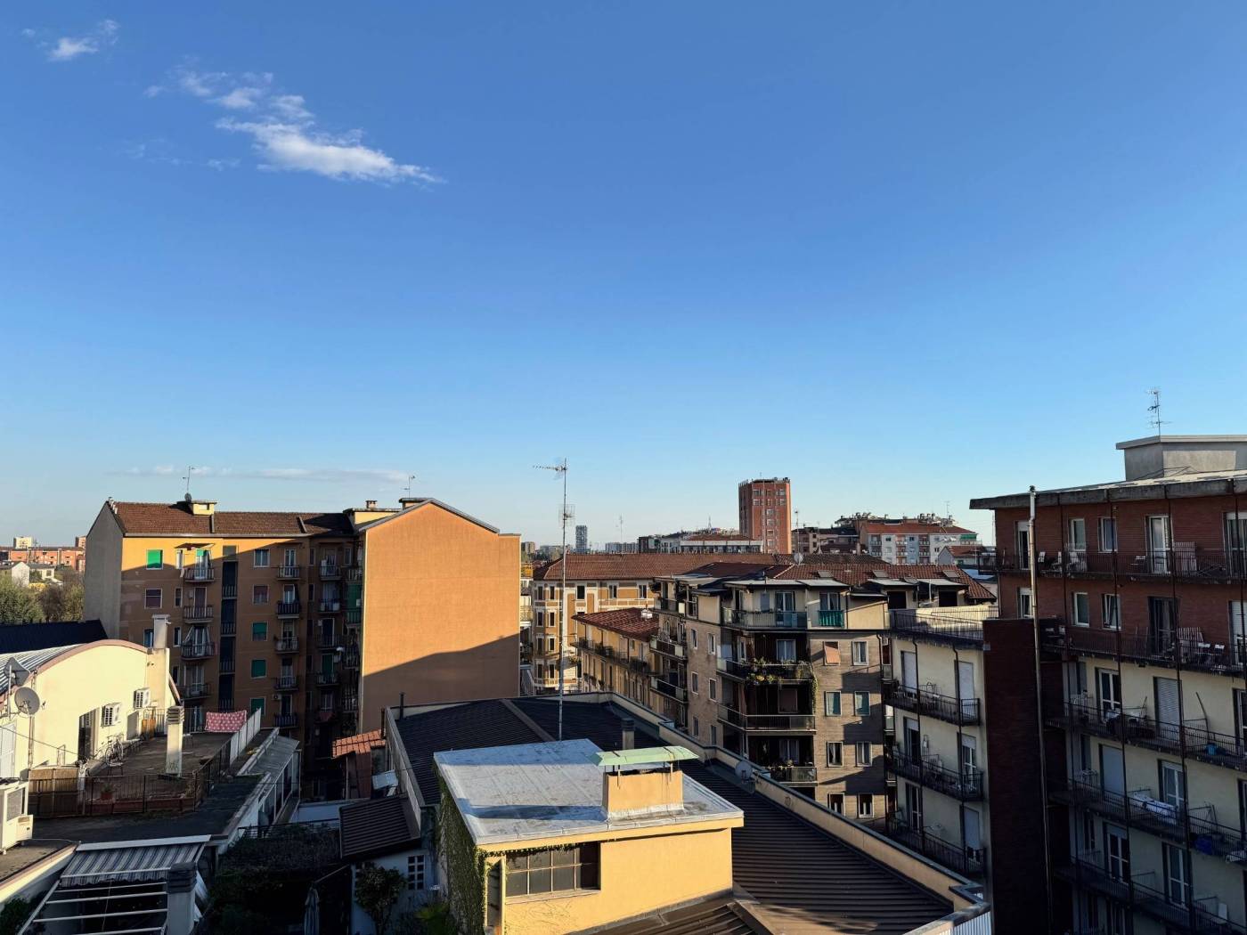 Vista